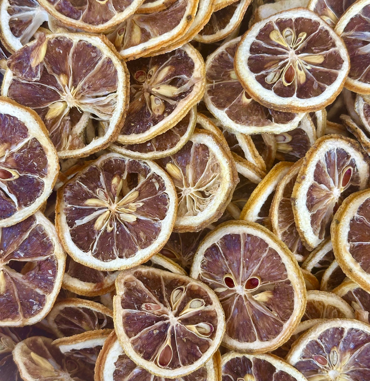 Dehydrated Lemon Slices – Premium Cocktail Garnish