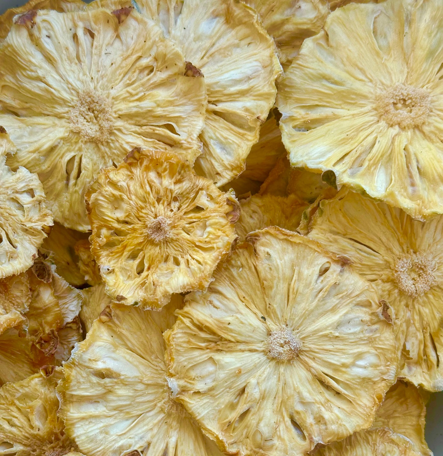 Dehydrated Pineapple Slices - Premium Cocktail Garnish