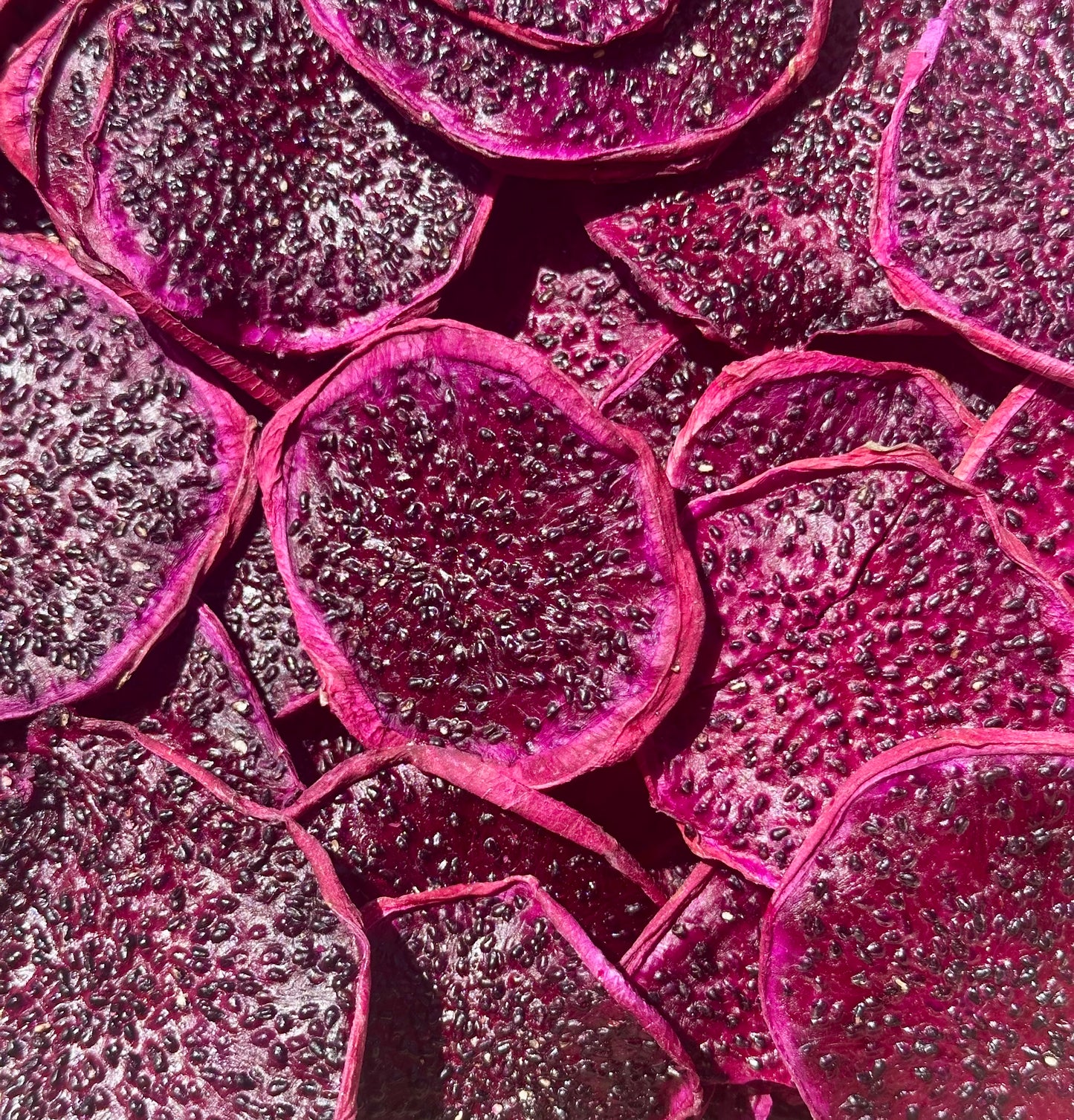 Dehydrated Red Dragon Fruit Slices – Premium Cocktail Garnish